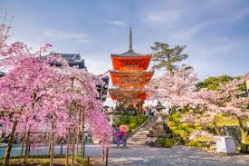 Scholarships in Japan for International Students.